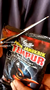 Pakan Jangkrik Tempur untuk Burung Murai, Kacer & Cucah