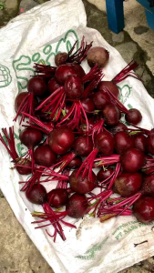 Buah Bit Segar 1kg - Beetroot Termurah