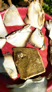 Ikan asin pesisir PARI ASIN potong/ pe / 1kg paling murah gurih