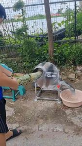 Máy Cắt Chuối INOX Cửa Ngang - Máy thá¡ Chuối INOX Siêu Mịn - thá¡ Nguyên Cây - Băm Cỏ Voi. Tiện Lợi. Động Cơ 15kW Đồng