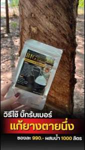 บิ๊กรับเบอร์ พลัส | ฟื้นฟูหน้ายางตายนึ่ง เปลือกแข็ง | คืนชีพหน้ายางใน 4 รอบ