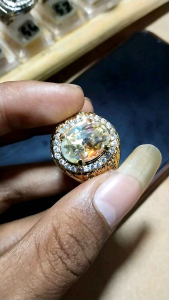 KALIMAYA PELANGI INDIA