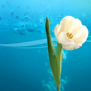 X2 COMFORT CAIRAN SOFTLENS: Perlindungan, Kesehatan & Kegiatan Sehari-hari