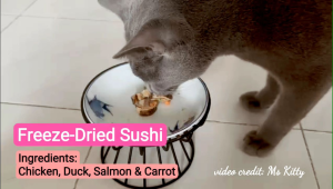 [10 pcs] Freeze-Dried Sushi for Cats and Dogs | Cat Snacks | Dog Snacks