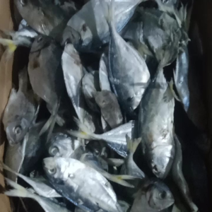 ikan asin selar size besar. Fress n segar langsung di olah dari laut bahan alami harga 1 kg