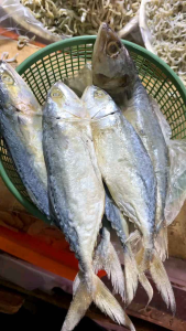 IKAN ASIN PEDA PUTIH