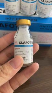 Bột pha tiêm CLAFOTAX (lọ 1g) dùng cho vật nuôi