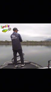 กระดี่ใบหลิว สปรีดี้ 13 กรัม เต็มคำ ตกปลาช่อน กราย