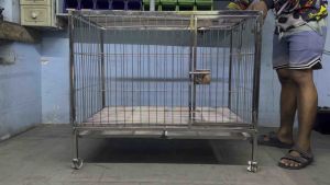 2x3x2.5  1door framed.. pure 304 stainless steel dog cage