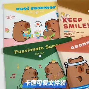 Bìa Nút Khổ A4 Đựng Tài Liệu CAPYBARA/Gấu Thỏ Mẫu Mới Cute
