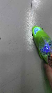 Happy hour toy -Colorful Funny Fish Toy with Light and Sound