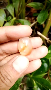 Batu Akik Motif Angka 7 (Tujuh)