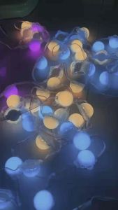 ปิงปองครึ่งใบ 5050 24V 1.6w FULLCOLLER (1พวงมี 30ดวง เล่นได้133สเต็ป/คอนโทรลฟูคัลเลอร์)