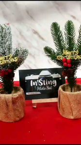 Pohon Natal Mini & Props Fotografi: Panduan Lengkap