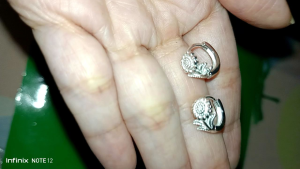 Legit Silver Sunflower Clip Earrings (CL031)