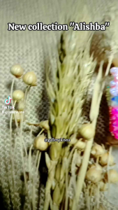 Tasbih Digital Cantik Alishba: Fitur Canggih & Desain Menawan