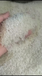 PROMO MURAH BERAS ROJOLELE/BMW 5KG