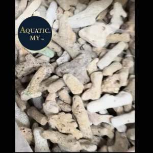 Aquarium Natural Coral Stone (Large Size) Filter Media/Batu Karang