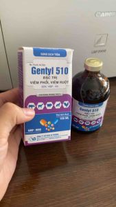 GENTYL 510 (20100ml) dứt điểm viêm phổi viêm ruột tiêu chảy cho gia súc gia cầm