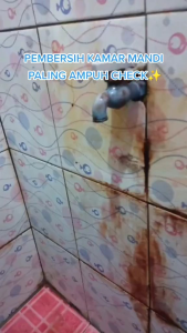 Bodas Pembersih Toilet & Kamar Mandi Ampuh 500ml