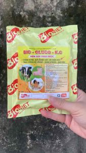 Thu Y Bio-Gluco-K.C 200g Bổ sung điện giải tăng cường đề kháng giải nhiệt cấp chống nóng giải độc tố đường hỗ trợ tiêu hóa