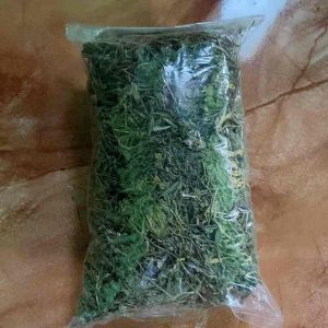 Daun sawi tanah KERING natural 100 gram-az