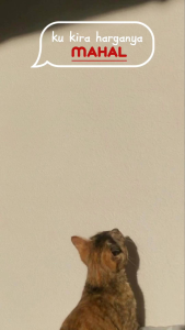 kemeja Koko batik lengan pendek