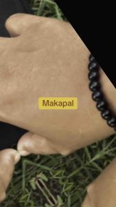 Black Pants MAKAPAL Semi Baston Brush Twill