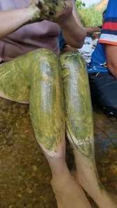 สครับบร็อคโคลี่บีริชLot4เปิดบิล10ก้อนได้บัตรตัวแทนมีกลุ่มซัพพอร์ต