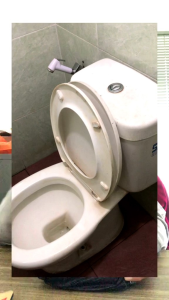 Sonic Cleaner: Pembersih Noda Kerak Toilet & Peralatan Dapur