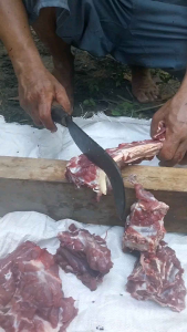 aret bendo bagong panjang 40cm