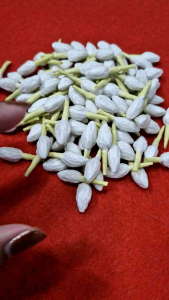 ดอกมะลิทิชชู่ปลอม 200-500 ดอก แบบเหรียญ 10