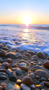 SENI BUDAYA SD KELAS 1s/d6 kurikulum merdeka Erlangga