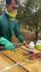 แอสตร้าโมส อะมิโนทุเรียน ส่งเสริมการแตกยอด เปิดตาดอก สร้างจำนวนดอก ขนาด 1 ลิตร