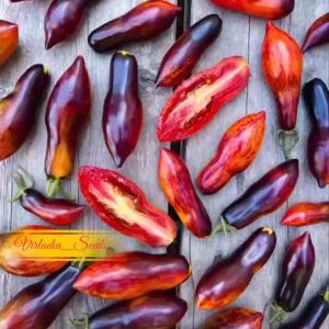 [Virladia Seeds] 10 Biji Benih Tomat Antho Pink Panther