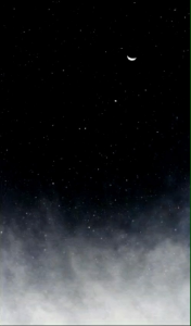 Viva Cosmetics Perawatan Wajah Whitening Cream & Acne Serum