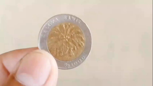 Uang Koin Jadul - Koin Jadul - Uang Koin Jadul Indonesia - Uang Koin Kuno - Koin Kuno - Uang Koin Kuno Indonesia - Koleksi Uang Koin Jadul - Koleksi Uang Koin Kuno - Uang Koin Kuning - Uang Koin Silver - Uang Koin Perak - Koin Uang Jadul - Koin Uang Kuno