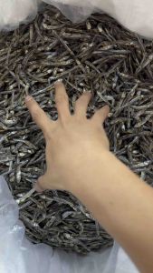 DRIED Dilis from Samar - Fresh and Flavorful - Lazada