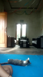 TANTO MINI PB 15 cm.