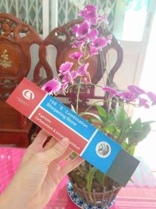Đá mài dao kéo Carborundum cực bén đá mài dao tiện lợi dùng cho gia đình - gia dụng Nari