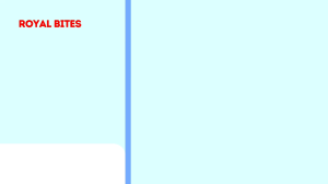 ROYAL BITES Premium Grain Free Dry Cat Food