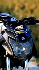 STANG STIR RZR PLUS RAESER CNC PNP VIXION NEW ADVANCE VIXION NEW LIGHTING