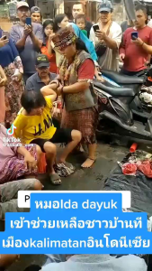 MINYAK URUT DAYAK obat gosok pijat pijit asli Perisai Borneo ibu Ida dayak 250ml