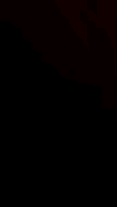 LOVELY WALLET DOMPET LIPAT JIMSHONEY BANDUNG OFFICIAL