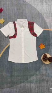 Sơ Mi Nam phối Kẻ Đỏ cộc Tay-cho nam hiện đạidễ phối đồ