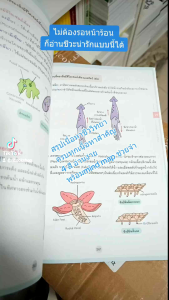 หนังสือEssentials Note สรุปหลักชีววิทยา ม.ปลาย (Think Beyond : IDC)