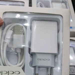 Charger Cas Casan HP Oppo Realme Xiaomi Vivo Samsung 2A 5V Micro USB Model AK933