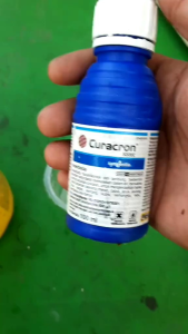 CURACRON 500EC 100ML 250ML Dan 500ML INSEKTISIDA PEMBASMI HAMA DAN KUTU PUTIH