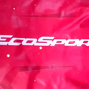 sarung ban mobil Ford Ecosport anti luntur gambar tajam carah bahan kulit sintetis pree desain