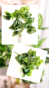 Daun Peperomia Watermelon AL14 Tanaman Plastik Hiasan Hampers Hantaran